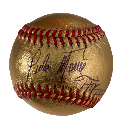 pedromartinezfoundation Authentic and Autographed Pedro Martinez Los Angeles Dodgers Mitchell & Ness Jersey XL